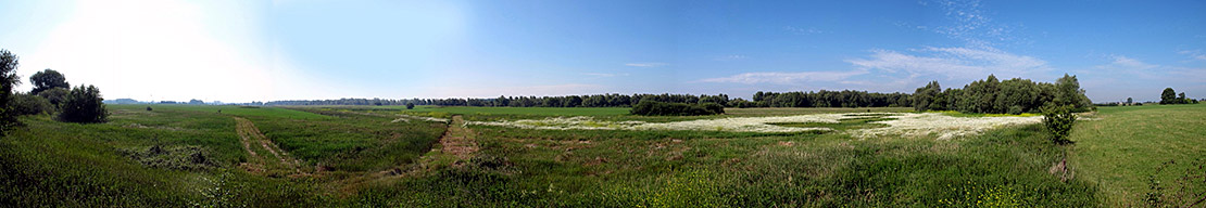 Panorama view of the Emmericher Ward